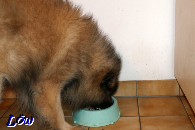 11.12.2025 - Die Torte schmeckt